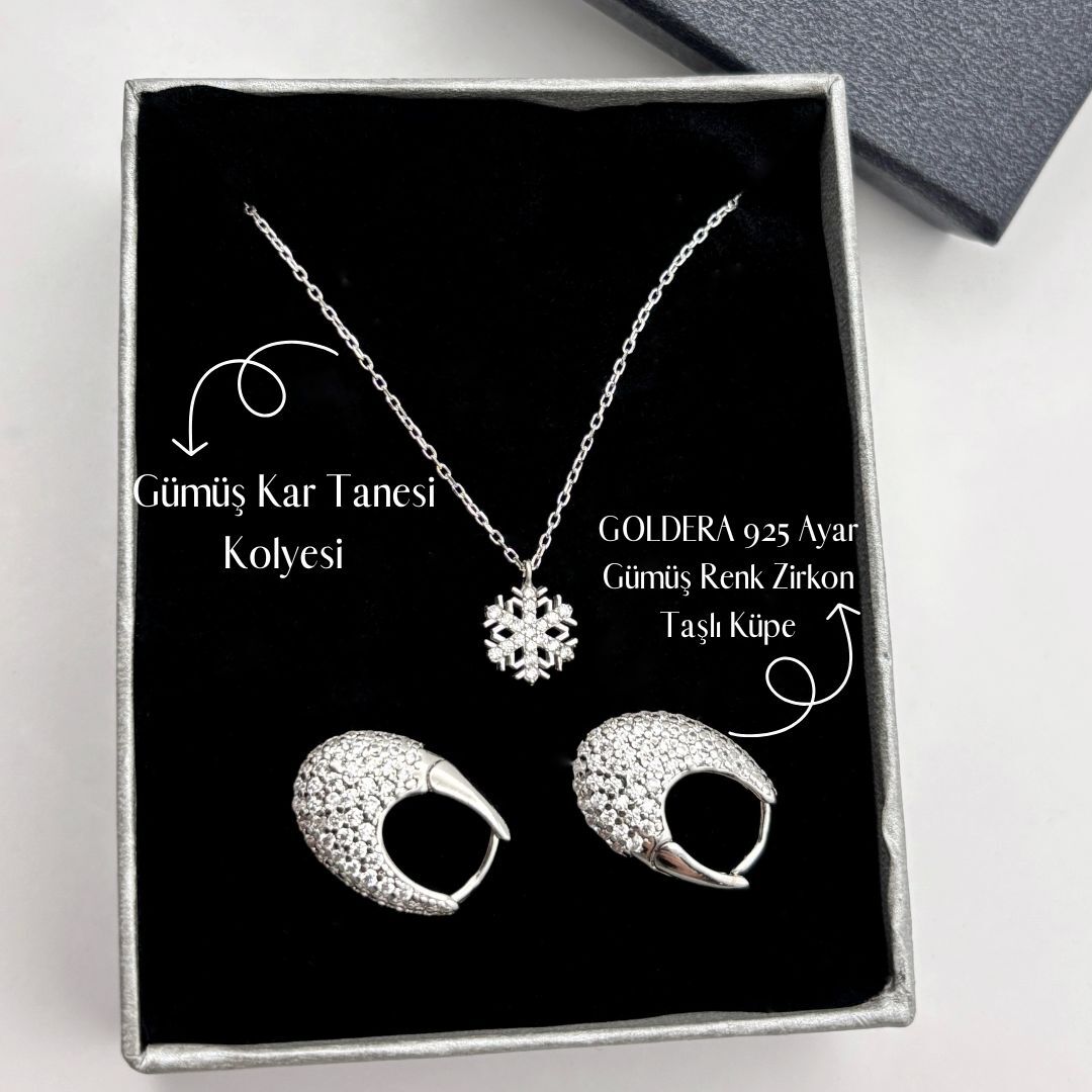 Işıltılı Silver Kartanesi Taşlı Küpe seti