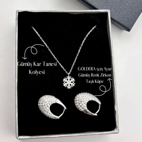 Işıltılı Silver Kartanesi Taşlı Küpe seti