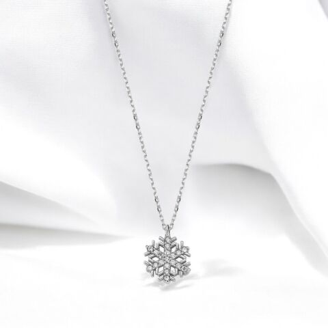 Işıltılı Silver Kartanesi Taşlı Küpe seti