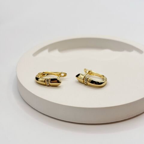 Modern Çivi Gold Çelik Küpe